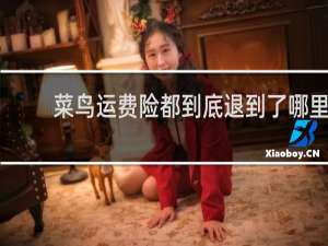 菜鸟运费险都到底退到了哪里