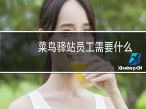菜鸟驿站员工需要什么