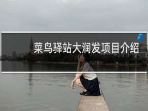 菜鸟驿站大润发项目介绍