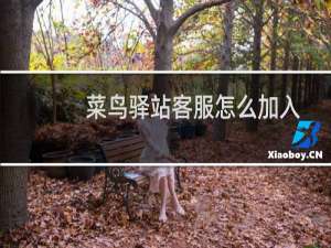 菜鸟驿站客服怎么加入