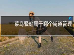 菜鸟驿站属于哪个街道管理