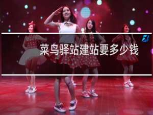 菜鸟驿站建站要多少钱