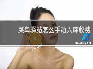 菜鸟驿站怎么手动入库收费