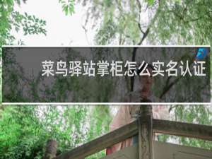 菜鸟驿站掌柜怎么实名认证