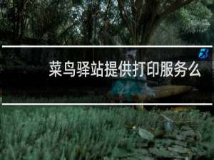 菜鸟驿站提供打印服务么
