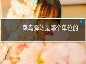 菜鸟驿站是哪个单位的
