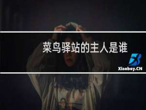 菜鸟驿站的主人是谁