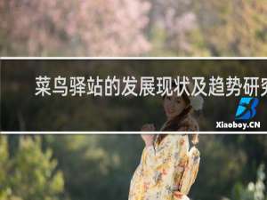 菜鸟驿站的发展现状及趋势研究