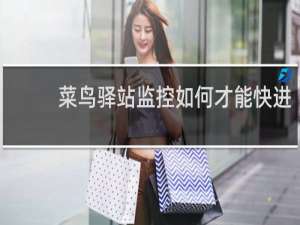 菜鸟驿站监控如何才能快进