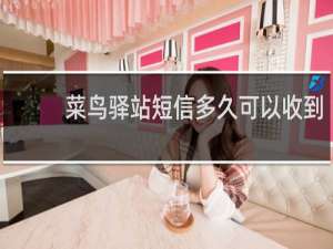 菜鸟驿站短信多久可以收到