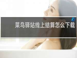 菜鸟驿站线上结算怎么下载