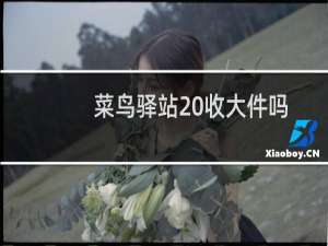 菜鸟驿站 收大件吗