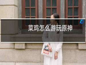 菜鸡怎么游玩原神