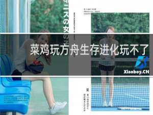 菜鸡玩方舟生存进化玩不了