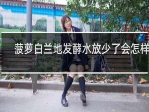 菠萝白兰地发酵水放少了会怎样呢