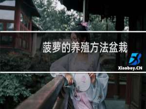 菠萝的养殖方法盆栽