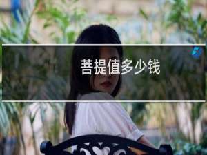 菩提值多少钱