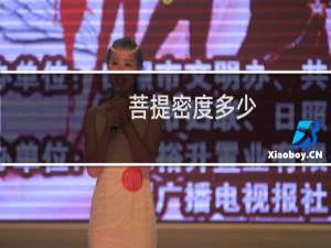 菩提密度多少