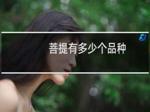菩提有多少个品种
