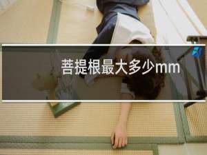 菩提根最大多少mm