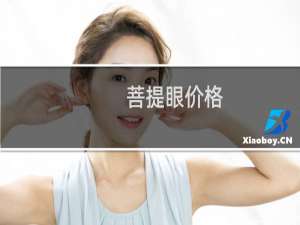 菩提眼价格