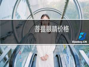 菩提眼睛价格