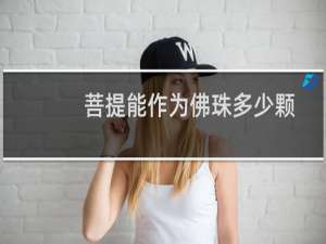 菩提能作为佛珠多少颗