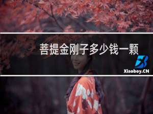 菩提金刚子多少钱一颗