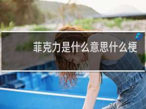 菲克力是什么意思什么梗
