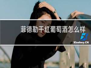 菲德勒干红葡萄酒怎么样