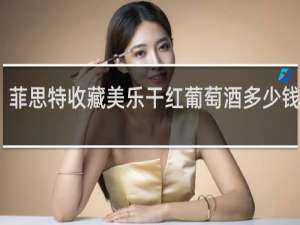 菲思特收藏美乐干红葡萄酒多少钱一瓶