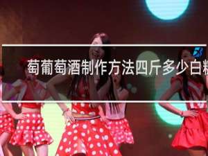 萄葡萄酒制作方法四斤多少白糖