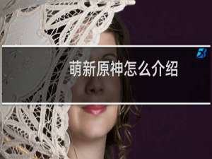 萌新原神怎么介绍