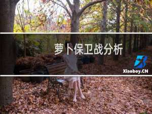 萝卜保卫战分析