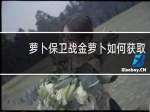 萝卜保卫战金萝卜如何获取