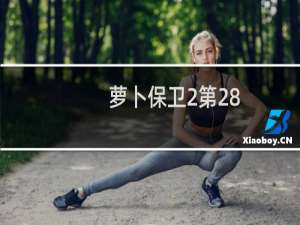 萝卜保卫2第28