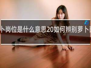 萝卜岗位是什么意思 如何辨别萝卜岗什么梗