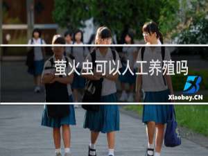 萤火虫可以人工养殖吗