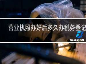 营业执照办好后多久办税务登记证