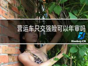 营运车只交强险可以年审吗