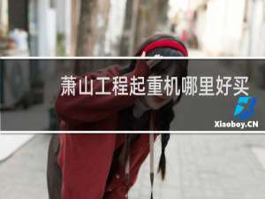 萧山工程起重机哪里好买