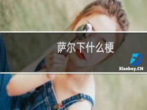 萨尔下什么梗