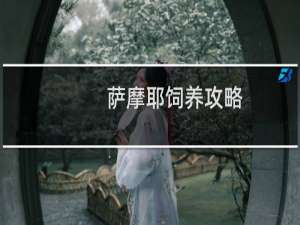 萨摩耶饲养攻略