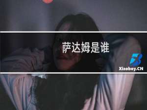 萨达姆是谁