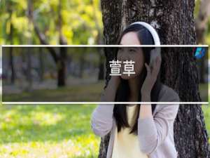 萱草（鄂伦春自治旗特产）