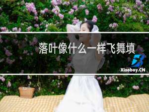落叶像什么一样飞舞填空（落叶像什么一样飞舞）