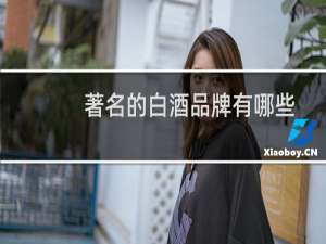 著名的白酒品牌有哪些