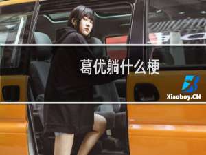 葛优躺什么梗