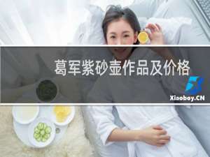 葛军紫砂壶作品及价格