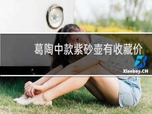 葛陶中款紫砂壶有收藏价值吗
